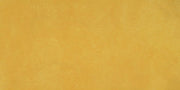 Daltile Portfolio Vivid 12" x 24" Matte Generation Z Yellow