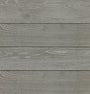 Medium Gray