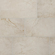 Daltile Platinum 12" x 24" Matte Jute