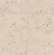 Daltile Sand And Stone 12" x 24" Stone Matte Summit