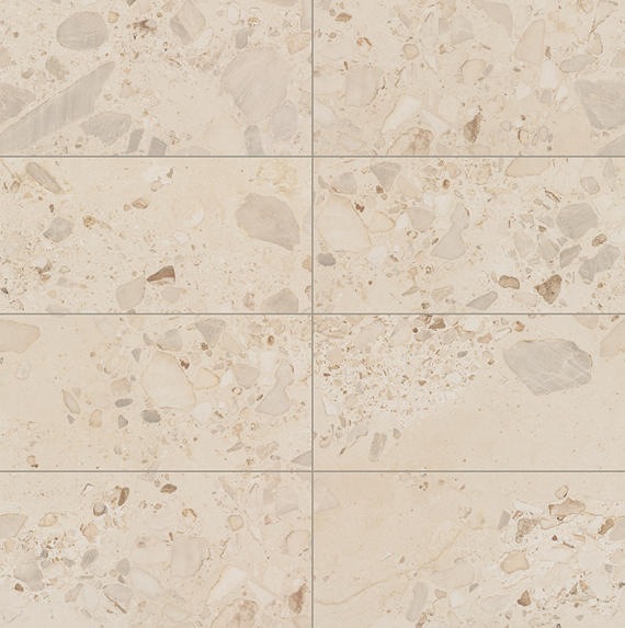 Daltile Sand And Stone 12" x 24" Stone Matte Summit