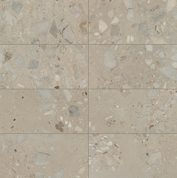 Daltile Sand And Stone 12" x 24" Stone Matte Tundra