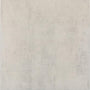 White Canvas