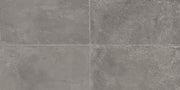 Daltile Platinum 12" x 24" Matte Grey UB04
