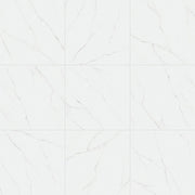 Daltile Vanserra 33" x 33" Polished Lace