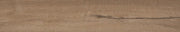 Daltile Platinum 6" x 36" Matte Honey