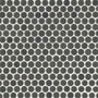 Iron