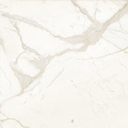 Bedrosians Magnifica The Thirties 30" x 30" Honed Calacatta Super White