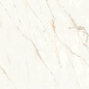 Bedrosians Magnifica Nineteen Forty-Eight 48" x 48" Honed Calacatta Oro