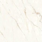 Bedrosians Magnifica Nineteen Forty-Eight 48" x 48" Polished Calacatta Oro