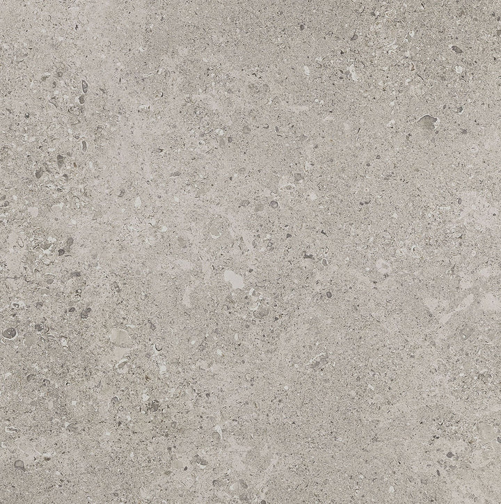 Daltile Dignitary 24" x 24" Matte Superior Taupe