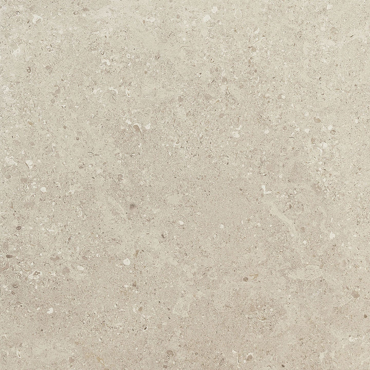 Daltile Dignitary 24" x 24" Matte Notable Beige