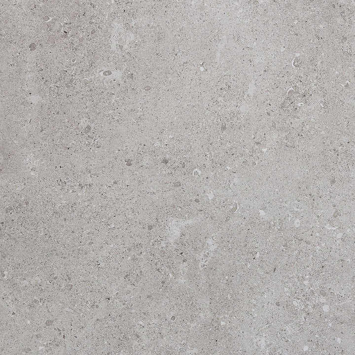 Daltile Dignitary 24" x 24" Matte Eminence Grey