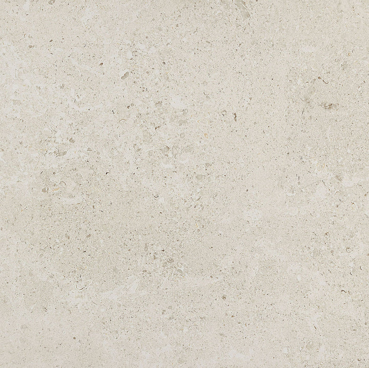 Daltile Dignitary 24" x 24" Matte Luminary White