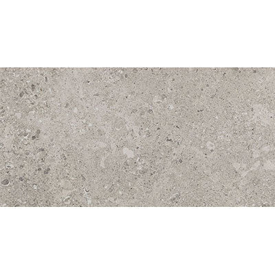 Daltile Dignitary 24" x 48" Matte Superior Taupe