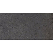 Daltile Dignitary 24" x 48" Matte Governor Black
