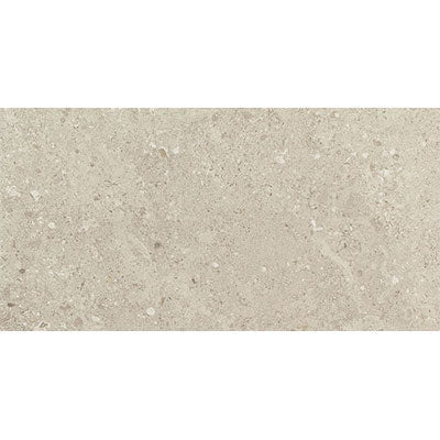 Daltile Dignitary 24" x 48" Matte Notable Beige