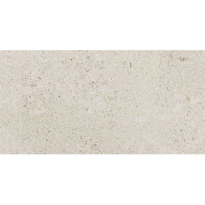 Daltile Dignitary 24" x 48" Matte Luminary White