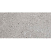 Daltile Dignitary 24" x 48" Matte Eminence Grey
