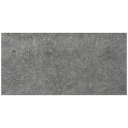 Daltile Diplomacy 12" x 24" Light Grey