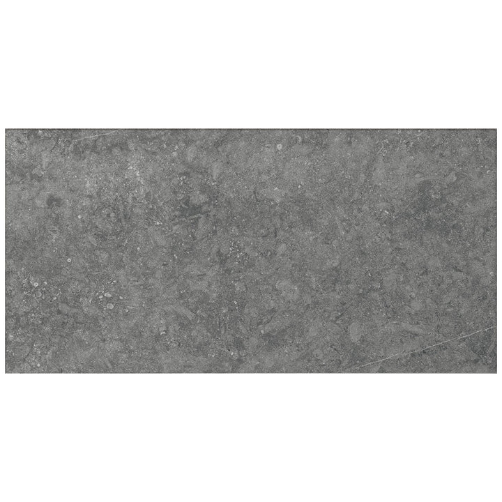 Daltile Diplomacy 12" x 24" Light Grey
