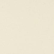 Daltile Exhibition 24" x 24" Textured Stark White