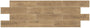 Elm