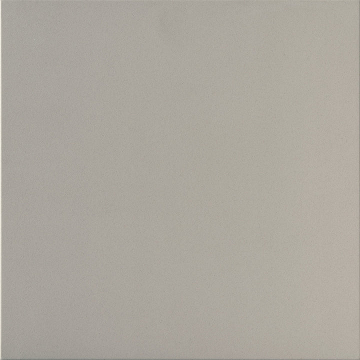 Daltile Harmonist 12" x 24" Matte Peace