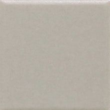 Desert Gray