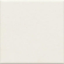 Arctic White