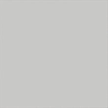 Grey Glossy