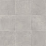 Dove Grey