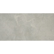 Emser Realm II 12" x 24" Domain