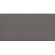 Daltile Fixture 12" x 24" Matte Fog