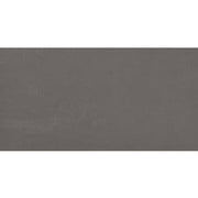 Daltile Fixture 24" x 48" Matte Fog