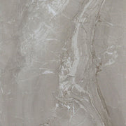 Daltile Famed 24" x 24" Polished Fortune