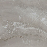 Daltile Famed 24" x 24" Matte Fortune