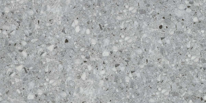 Emser Fragmento LG 12" x 24" Matte Silver Large Speckle