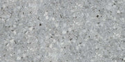 Emser Fragmento LG 12" x 24" Matte Silver Large Speckle