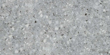 Silver Large Speckle