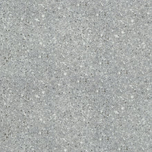 Silver Small Speckle