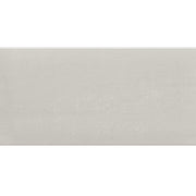Daltile Fixture 12" x 24" Polished Glacier
