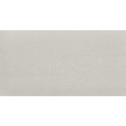 Daltile Fixture 24" x 48" Polished Glacier