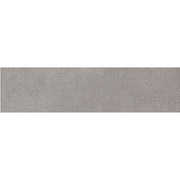 Daltile Haut Monde 6" x 24" Matte Glitterati Granite