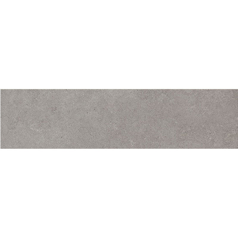 Daltile Haut Monde 6" x 24" Matte Glitterati Granite
