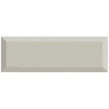 Scholarly Gray