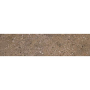 Daltile Dignitary 6" x 24" Matte Herald Brown