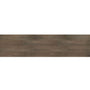 Hickory Pecan