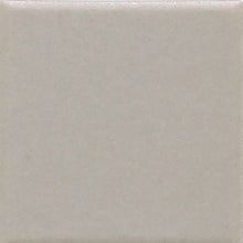 Desert Gray