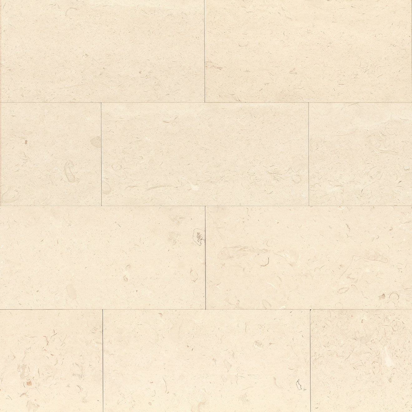 Bedrosians Limestone 12" x 24" Corinthian White